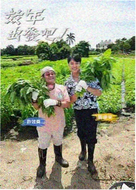 即兴第一排